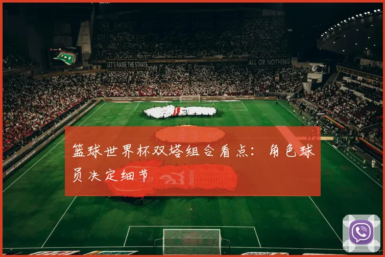 篮球世界杯双塔组合看点：角色球员决定细节