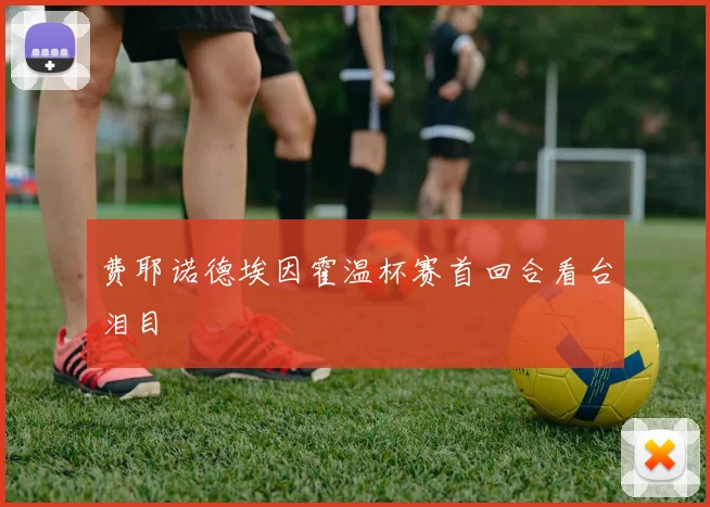 费耶诺德埃因霍温杯赛首回合看台泪目